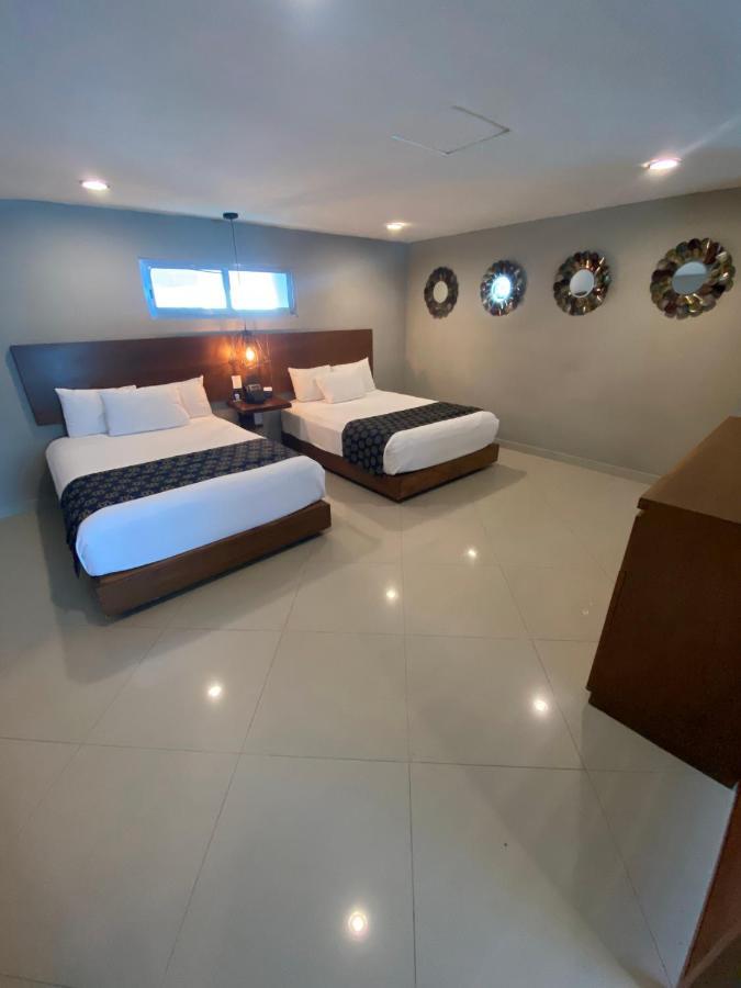 Ocean View Giness Apartment